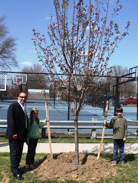 Second graders Casey Prior and Michael Flynn show Freeholder Director Arnone the newly planted Kwanzan cherry tree at Sea Girt Elementary School.